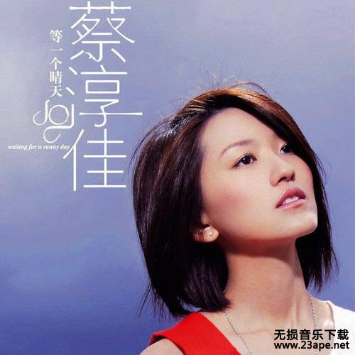 蔡淳佳-有心人,有情人.ape