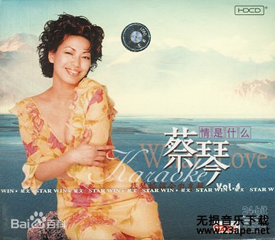 蔡琴-绿岛小夜曲.flac