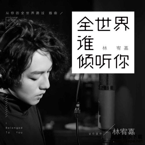 林宥嘉-感同身受.flac