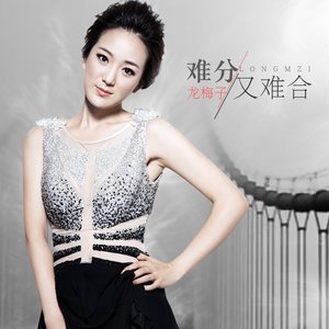 龙梅子-女人的歌.flac