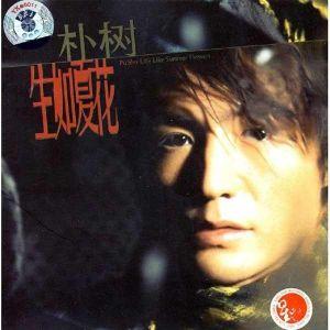 朴树-那些花儿(吉他版).flac