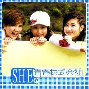 SHE-我爱雨夜花.flac