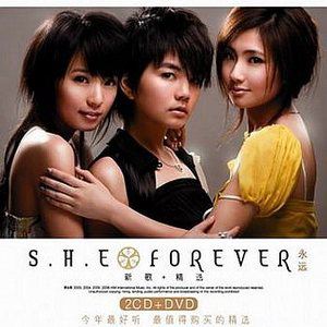 SHE-远方.flac