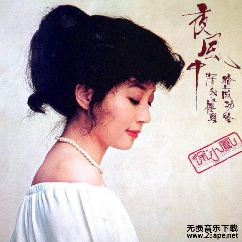 徐小凤-红灯绿灯.flac