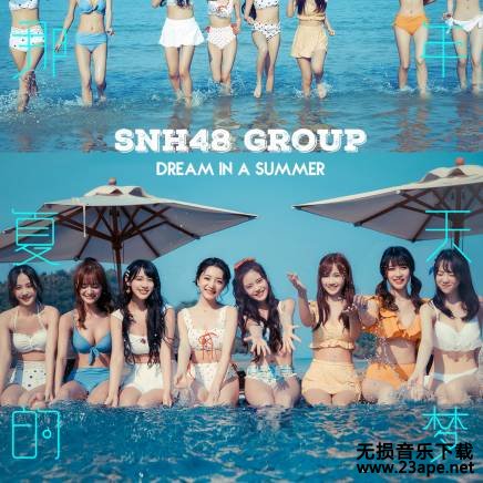 SNH48-告白趁现在.flac