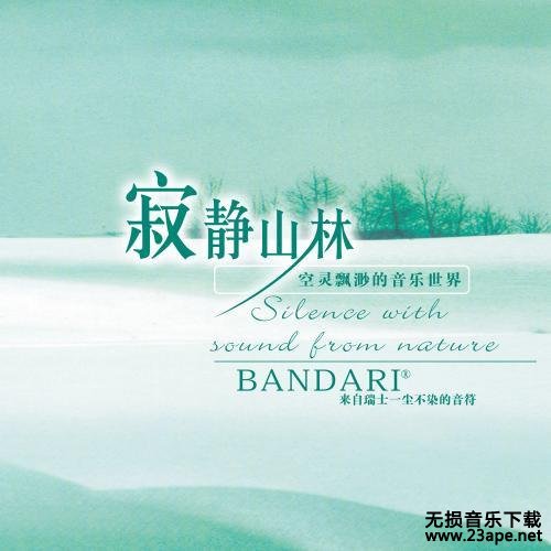 班得瑞-WinterDreams.flac