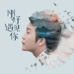 李玉刚-雨花石.flac