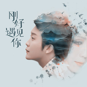 李玉刚-致情人III.flac